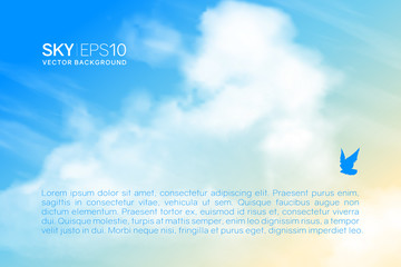 Wall Mural - horizontal vector background with realistic beige-blue sky and clouds. the image can be used to desi