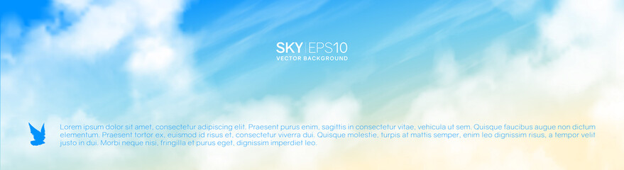 Wall Mural - narrow horizontal vector banner with realistic beige-blue sky and cumulus clouds. the image can be u