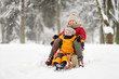 © Maria Sbytova - Little boy and mother sliding in the park during a snowfall