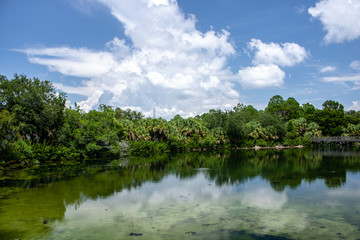 Wall Mural - landscape with river and trees