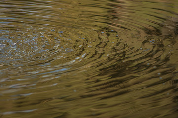 water reflexion9