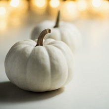 Pumpkins Or White Gourds. Fall Or Autumn Festive Background. Thanksgiving. Selective Focus, Copy Space