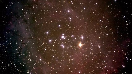 Wall Mural - Zoom out of a beautiful nebula in space in the shape of a rose