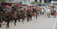 Bendi - Traditional Transportation From Bukittinggi, West Sumatera, Indonesia