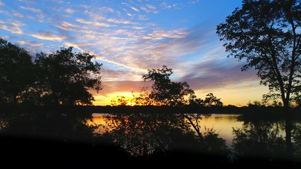Wall Mural - Amazing predawn twilight sunrise colorful sky and clouds, revealed after flying through silhouetted trees.
