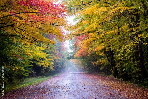 Fotomural Road scene in New England with Fall color