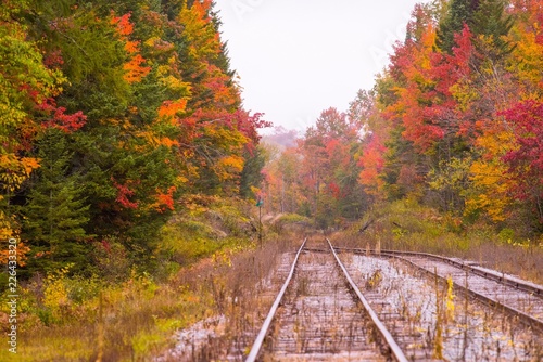 Fotografia, Obraz Old train tracks surrounded by fall color in New England