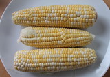 Fototapeta Tęcza - Uncooked corn on the cob on a plate