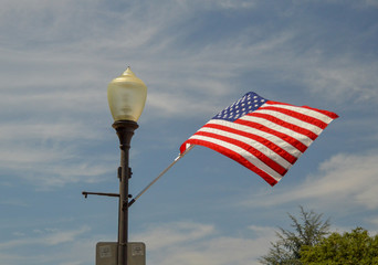 Light pole and flag