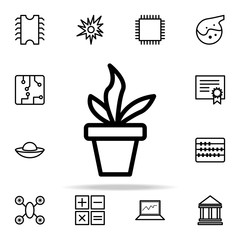 Poster - plant in the pot icon. Science icons universal set for web and mobile