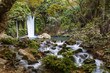 The Banias nature reserve at the foot of Mount Hermon, north of the Golan Heights, Israel.