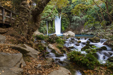 The Banias Nature Reserve At The Foot Of Mount Hermon, North Of The Golan Heights, Israel.