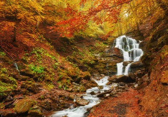 Wall Mural - beautiful waterfall in forest