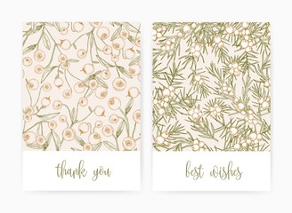 Aufkleber - Set of postcard or greeting card templates with cranberries and juniper berries and leaves hand drawn with contour lines on light background and holiday wish. Monochrome realistic vector illustration.