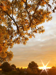 Poster - Autumn morning landscape