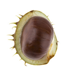 Sticker - Chestnuts isolated on white background