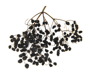 Canvas Print - dried elderberry berries isolated on white background. As an element of packaging design