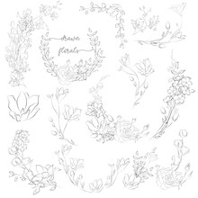 Vector Drawn Plants And Flowers, Wreaths, Corners, Branches