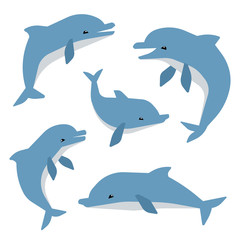 Wall Mural - Cute dolphins in different poses vector illustation. Dolphins isolated on white background. Animal mammal dolphin, sea wildlife