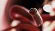 © Sebastian Kaulitzki - 3d rendered medically accurate illustration of a hookworm