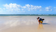 Landschaftsfotograf in Samana / Karibik: Fotografieren am Meer vor traumhaft schöner Kulisse, Trauminsel, Traumurlaub :)