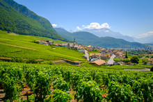 Summer Switzerland Valley Landscape With Vineyards At Foreground Near Aigle
