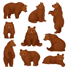 Flat Vector Set Of Large Bear In Different Poses. Wild Forest Creature With Brown Fur. Cartoon Character Of Big Mammal Animal