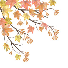 Wall Mural - Autumn background with maple leaves