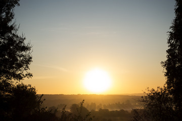 foggy morning sunny landscape with tree and grass