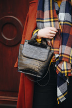 Attractive Woman Posing Outdoors. Fashion Blogger In Oversized Brown Coat With Checked Scarf Holding A Leather Black Croc Effect Backpack Bag. Autumn Fashion.