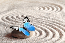 Sand, Blue Butterfly And Spa Stone In Zen Garden. Spa Concept.