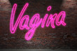 Leuchtreklame Vagina an Ziegelsteinmauer
