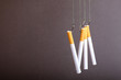 © metelevan - four cigarettes hanging on threads with hooks, bait for those who have dependence on nicotine