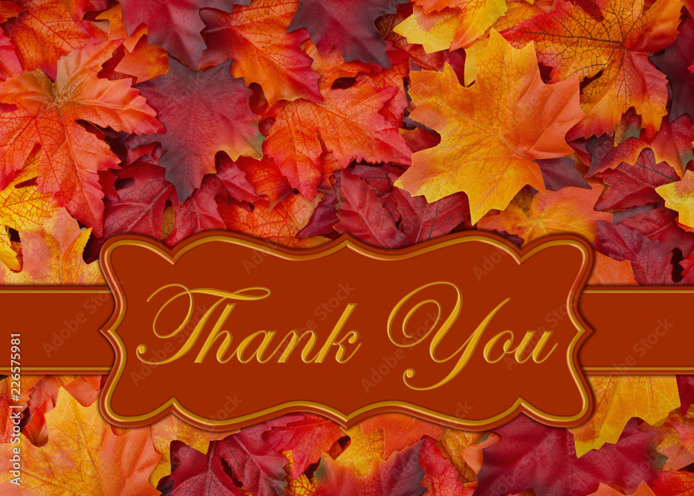 Thank you message with fall leaves