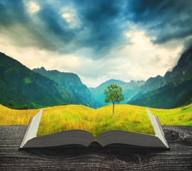 Georgian valley with lonely tree on the pages of book