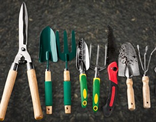 Poster - Group of Gardening tools on background