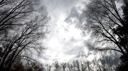 Wall Mural - dark halloween sky - incoming hurricane - major storm - hurricane weather - hurricane season - flood