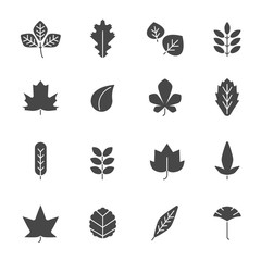 Wall Mural - autumn leaves icons. silhouettes of various autumn leaves. vector leaf black, nature oak foliage ill