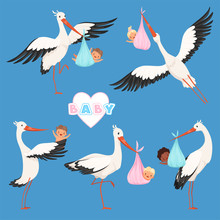Flying Stork Baby. Bird Delivery Newborn Cute Little Childrens Vector Carry Stork Characters Isolated. Delivery Baby, Newborn And Stork With Child Illustration