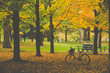 bicycle in park