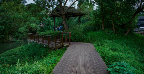 Wall Mural - Captured in Hangzhou Xixi Wetland scenery