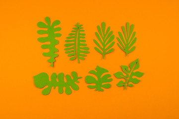 Green leaves made from paper on orange background