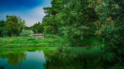 Poster - Captured in Hangzhou Xixi Wetland scenery