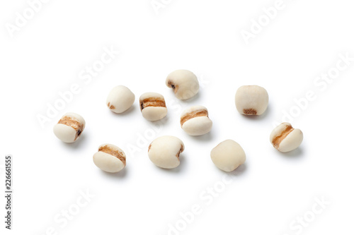 Fotografie, Obraz Close-up of Job's tears isolated on white background