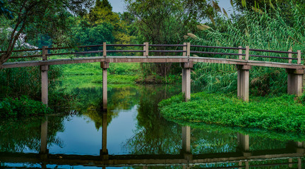 Wall Mural - Captured in Hangzhou Xixi Wetland scenery