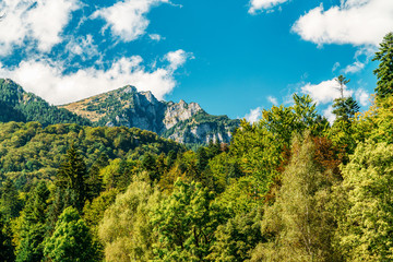 Sticker - Beautiful Carpathian Mountains Summer Landscape In Romania