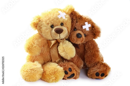 two headed teddy bear