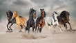 © kwadrat70 - Horses run gallop free in desert dust against storm sky