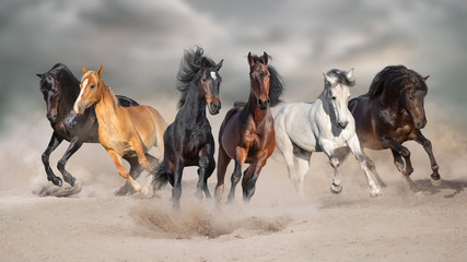  Konie biegają galopem w pustynnym pyle na tle burzowego nieba