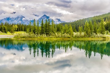 Wall Mural - View at the nature near Vermillion lakes in Banff National Park - Canadian Rocky Mountains